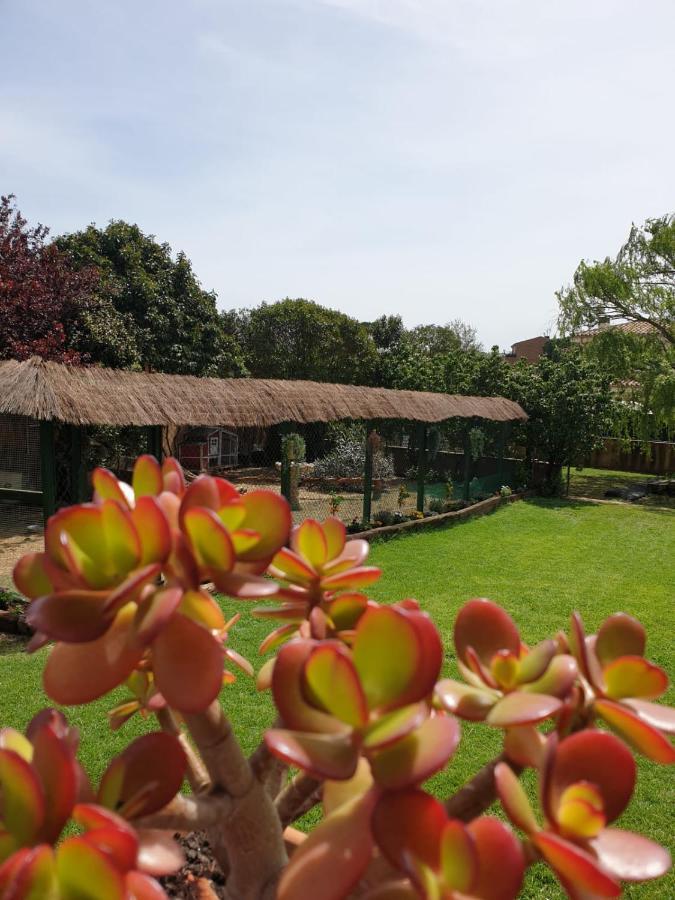 Villa Del Remei Vidreres Ngoại thất bức ảnh
